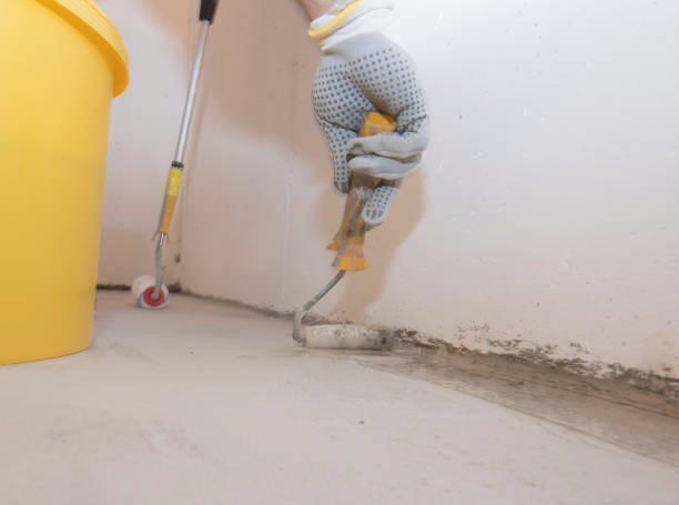 Best Pest Prevention Services  in Riverside, IA